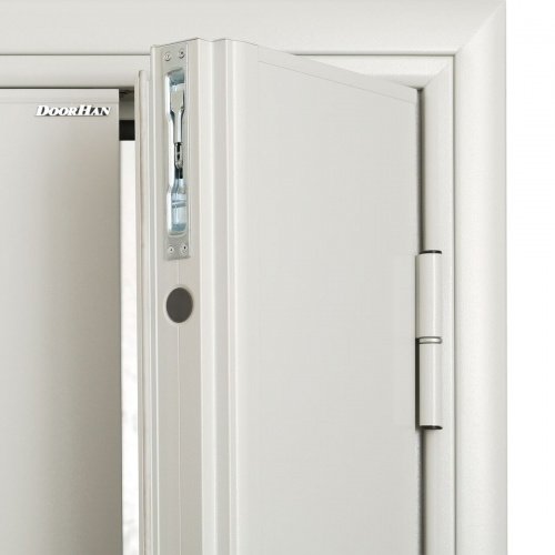 - DoorHan DPG-2 Ei-60 противопожарная двухстворчатая RAL7035 1550*2050мм фото 3 - DoorHan DPG-2 Ei-60 противопожарная двухстворчатая RAL7035 1550*2050мм фото 3