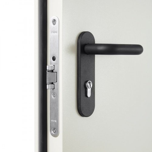 - DoorHan DPG-2 Ei-60 противопожарная двухстворчатая RAL7035 1550*2050мм фото 5 - DoorHan DPG-2 Ei-60 противопожарная двухстворчатая RAL7035 1550*2050мм фото 5